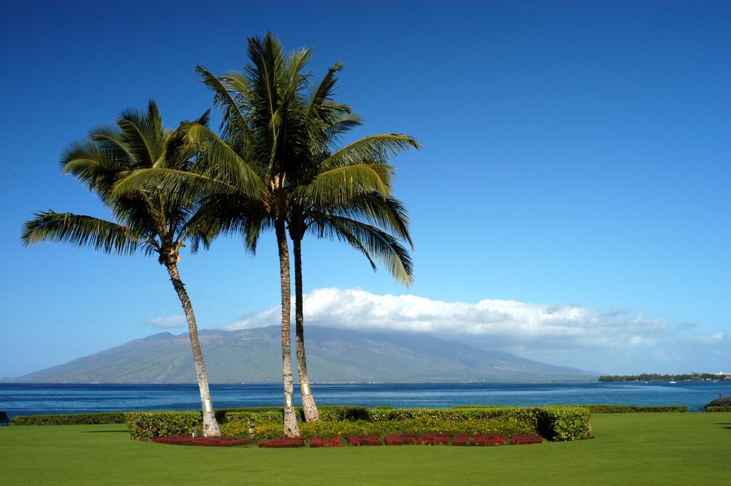 Kihei Surfside By Condominium Rentals Hawaii Makena Rum bild